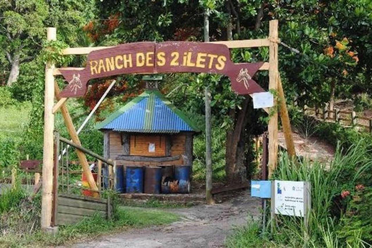 Logement Entier Au Soleil Couchant Deshaies Zewnętrze zdjęcie